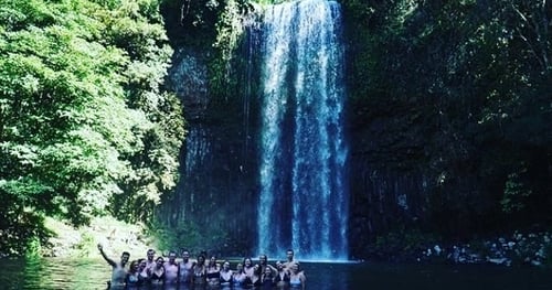 36733-6d1c7a64-1066-43cd-a227-1d42ac862cec-thumbnail