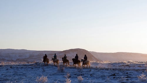 reykjavik-riding-icelandic-horses
