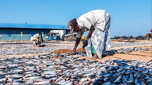 lellama_1280x720_for_navi_web