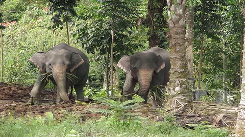 sum8_1280x720_for_navi_web