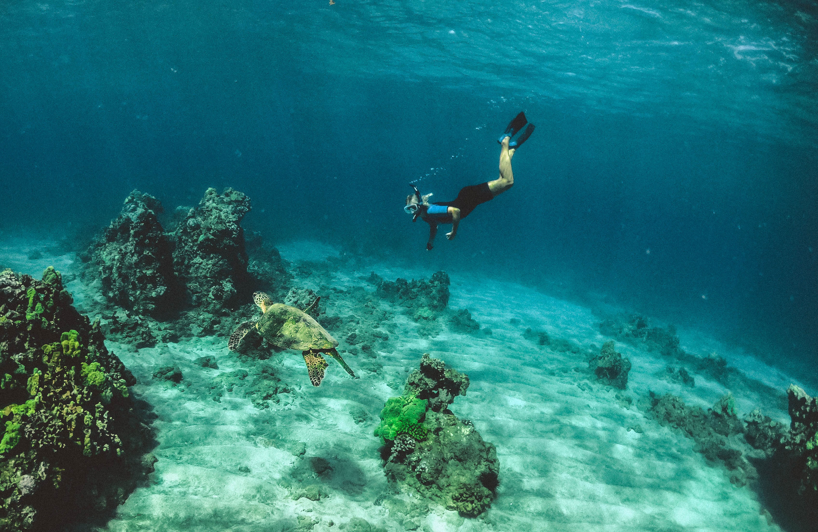 Diving Image In Central America