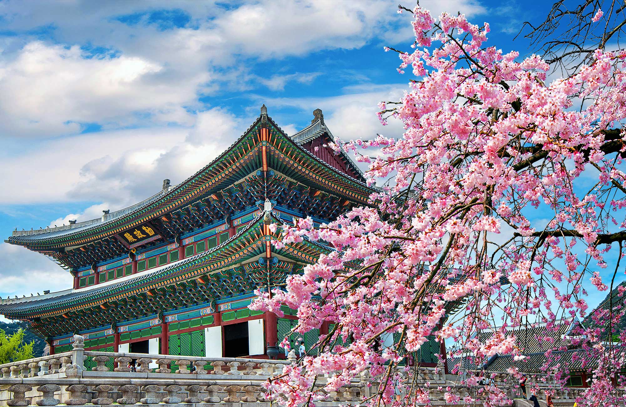 South Korea Seoul Cherry Blossoms And Temple